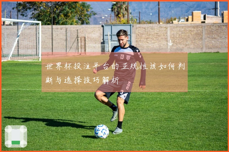 世界杯投注平台的正规性该如何判断与选择技巧解析