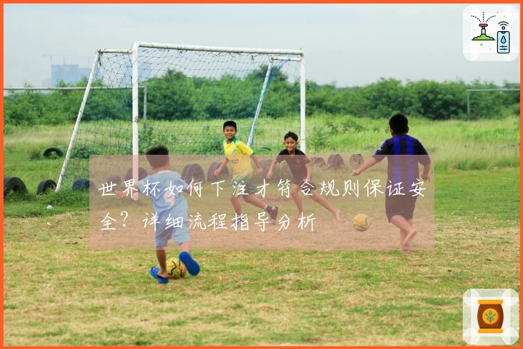 世界杯如何下注才符合规则保证安全？详细流程指导分析